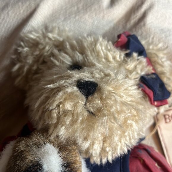 Boyd's Bear - Picture 3 of 5